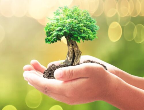 Amended: Message from the CEIRP Retirement Committee